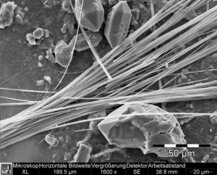 Amphibolasbest, Tremolit in Putz - mittlere HD-Auflösung: 3232 x 2420 px / Dateigröße ca 7,5 MB | © CRB Analyse Service GmbH